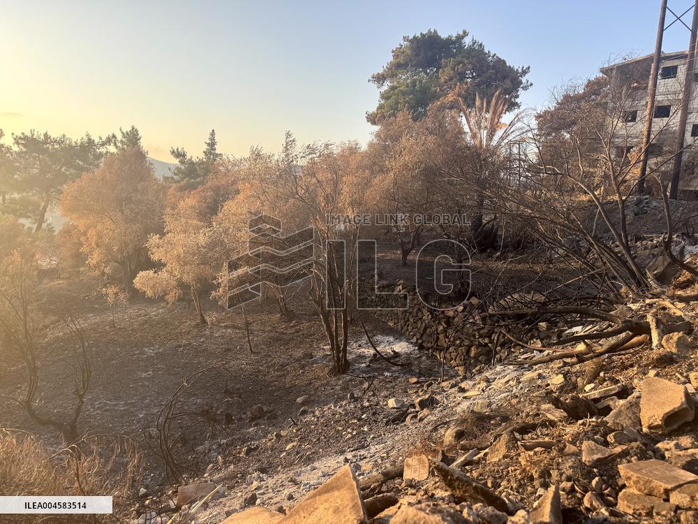 Wildfires Rage in Latakia - Syria