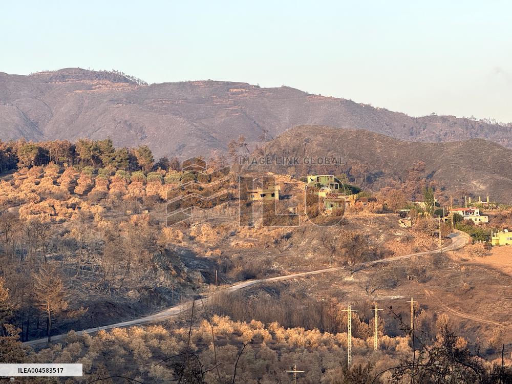 Wildfires Rage in Latakia - Syria