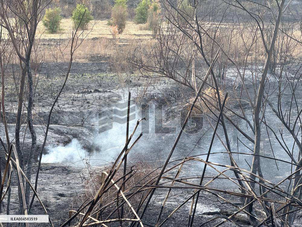 Wildfires Rage in Latakia - Syria