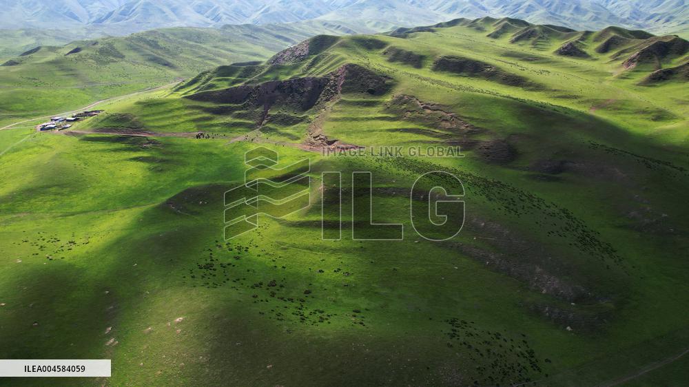 (EcoChina)CHINA-GANSU-XIAHE-GRASSLAND-SUMMER (CN)