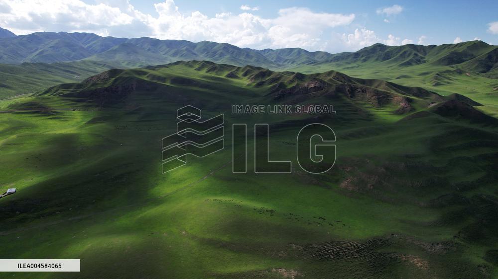 (EcoChina)CHINA-GANSU-XIAHE-GRASSLAND-SUMMER (CN)