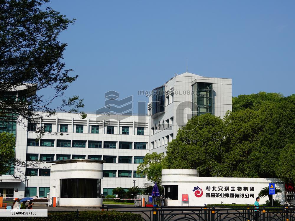 Angel Building in Yichang