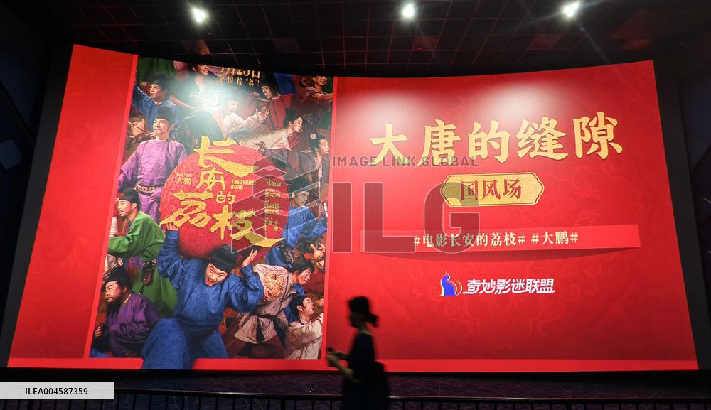 Film The Lychee Road Preview Screening in Shanghai