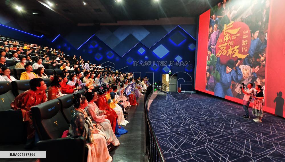 Film The Lychee Road Preview Screening in Shanghai