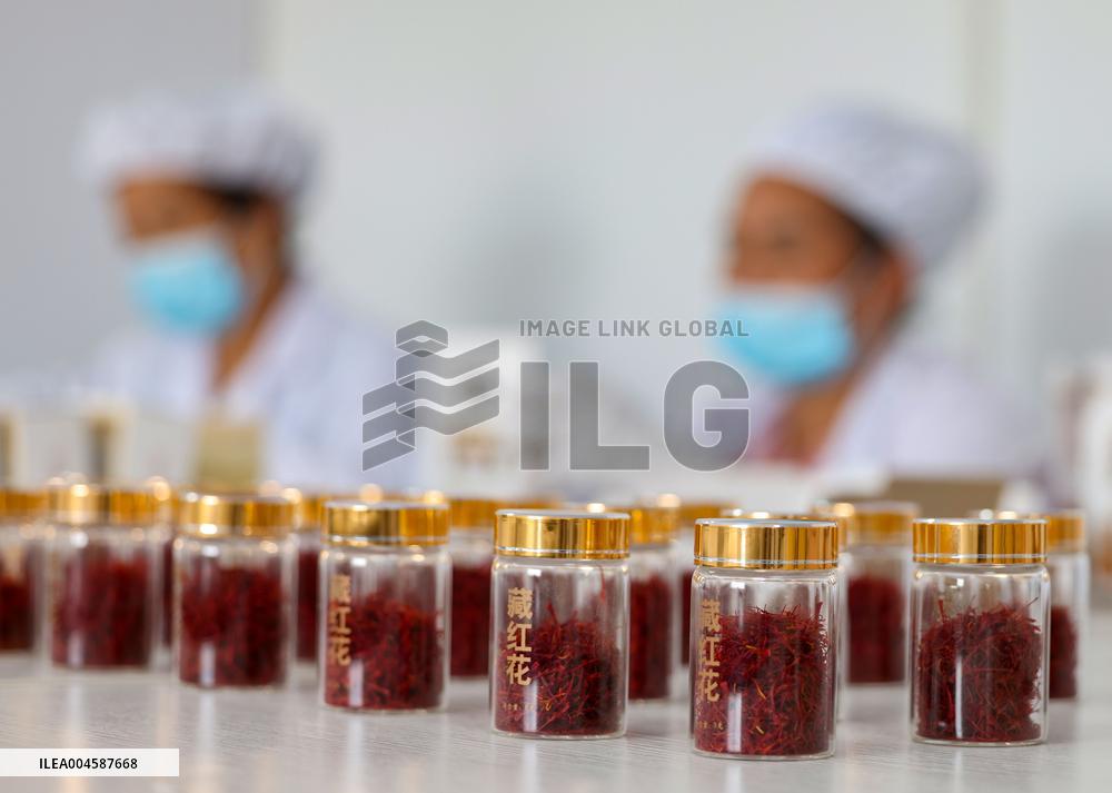 Saffron Manufacturing in Tongren