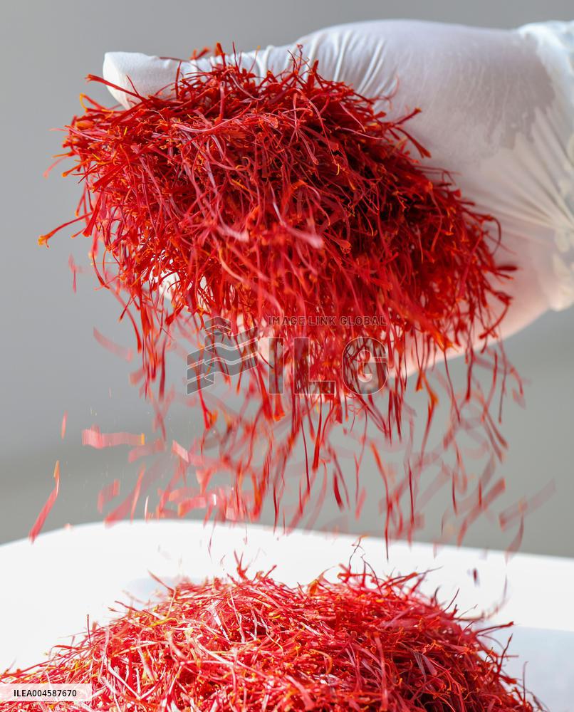 Saffron Manufacturing in Tongren