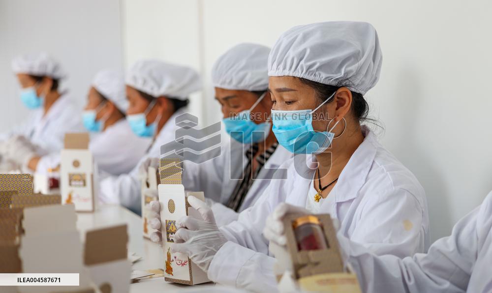 Saffron Manufacturing in Tongren