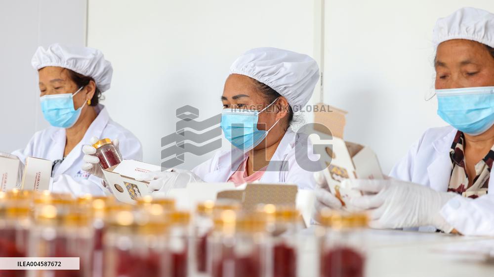 Saffron Manufacturing in Tongren
