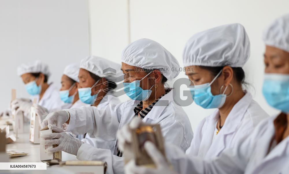 Saffron Manufacturing in Tongren