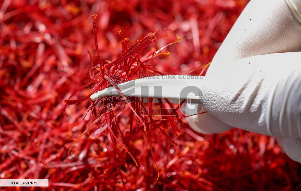 Saffron Manufacturing in Tongren
