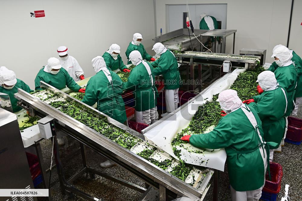 China Import And Export of Goods Trade Growth in H1 2025