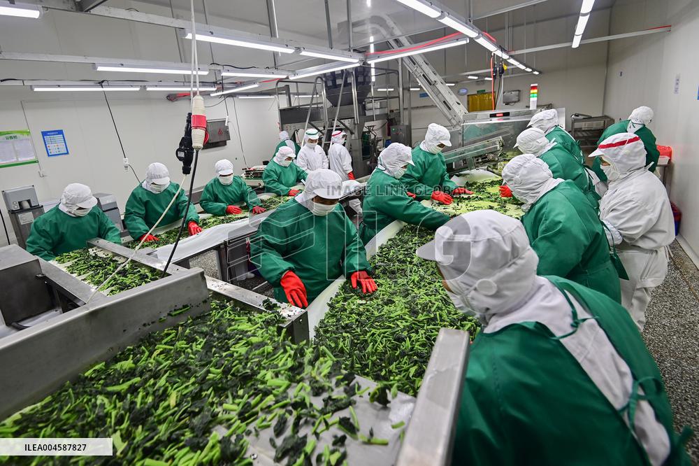 China Import And Export of Goods Trade Growth in H1 2025