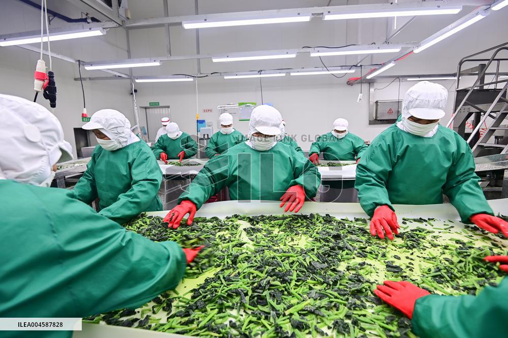 China Import And Export of Goods Trade Growth in H1 2025