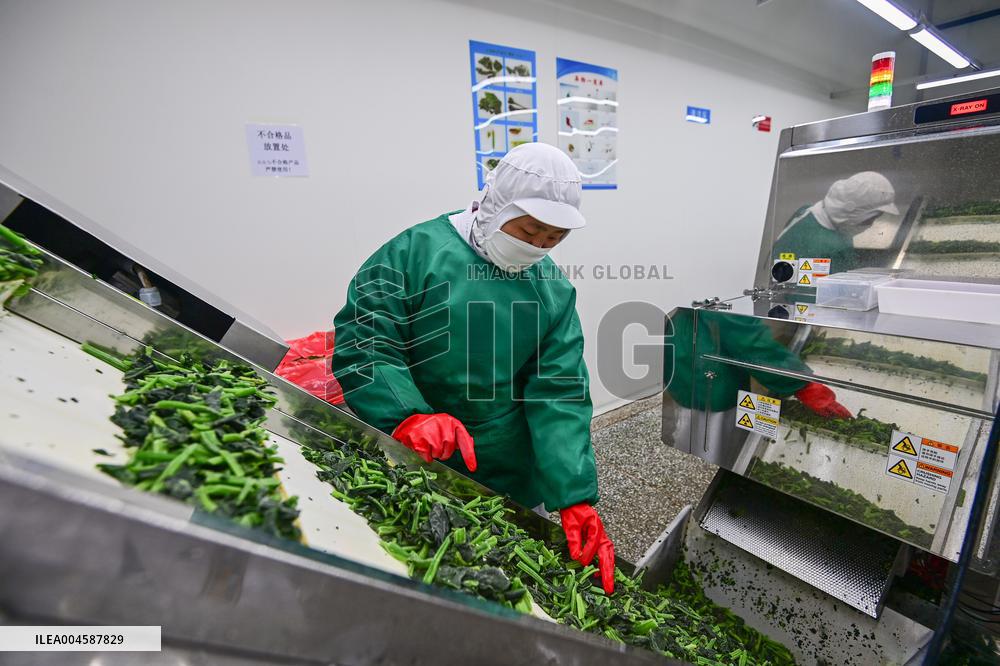 China Import And Export of Goods Trade Growth in H1 2025