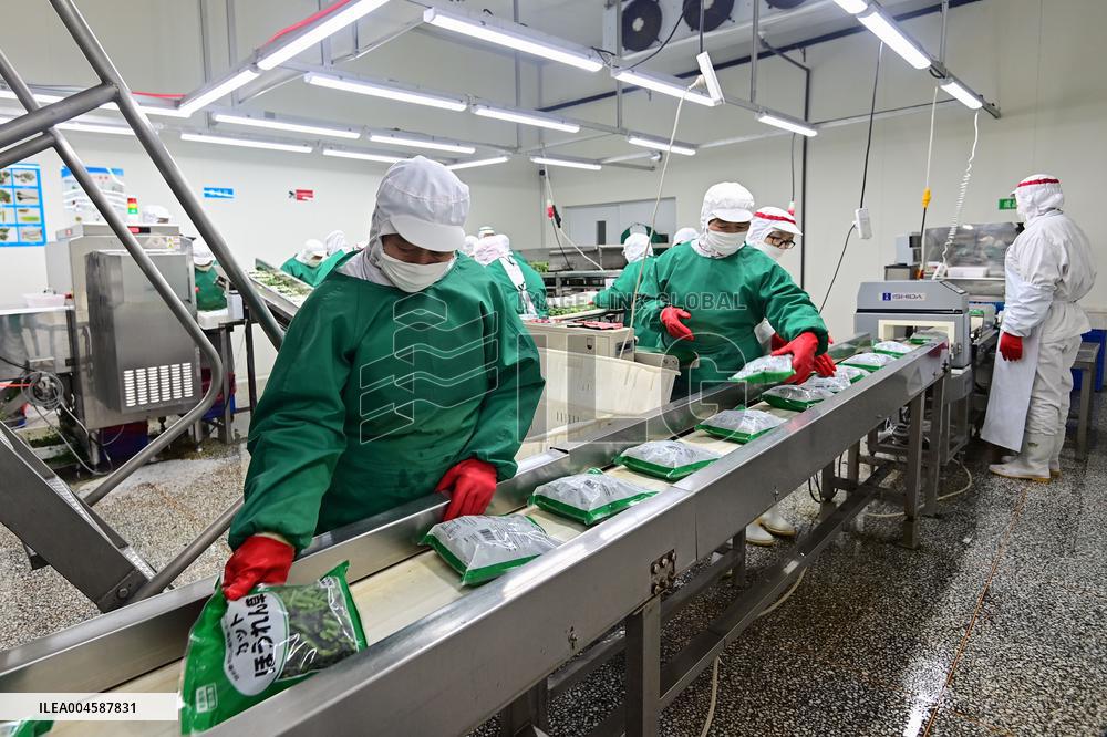 China Import And Export of Goods Trade Growth in H1 2025