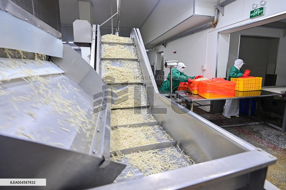 China Import And Export of Goods Trade Growth in H1 2025