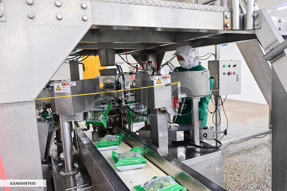 China Import And Export of Goods Trade Growth in H1 2025