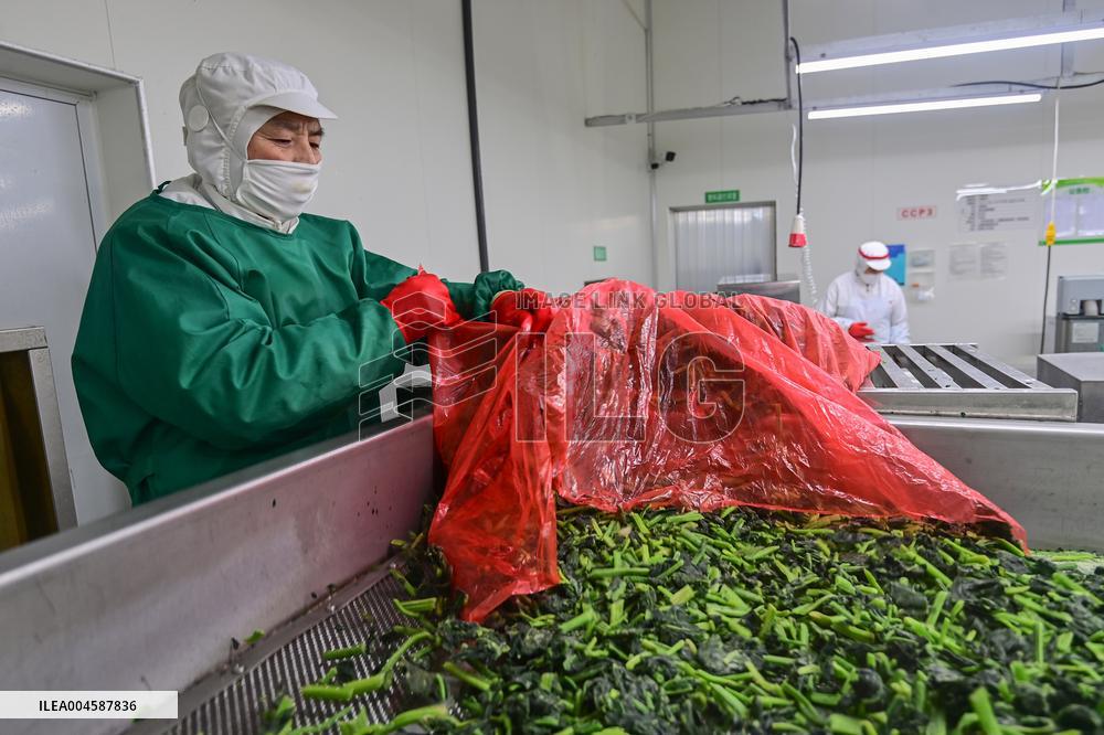 China Import And Export of Goods Trade Growth in H1 2025