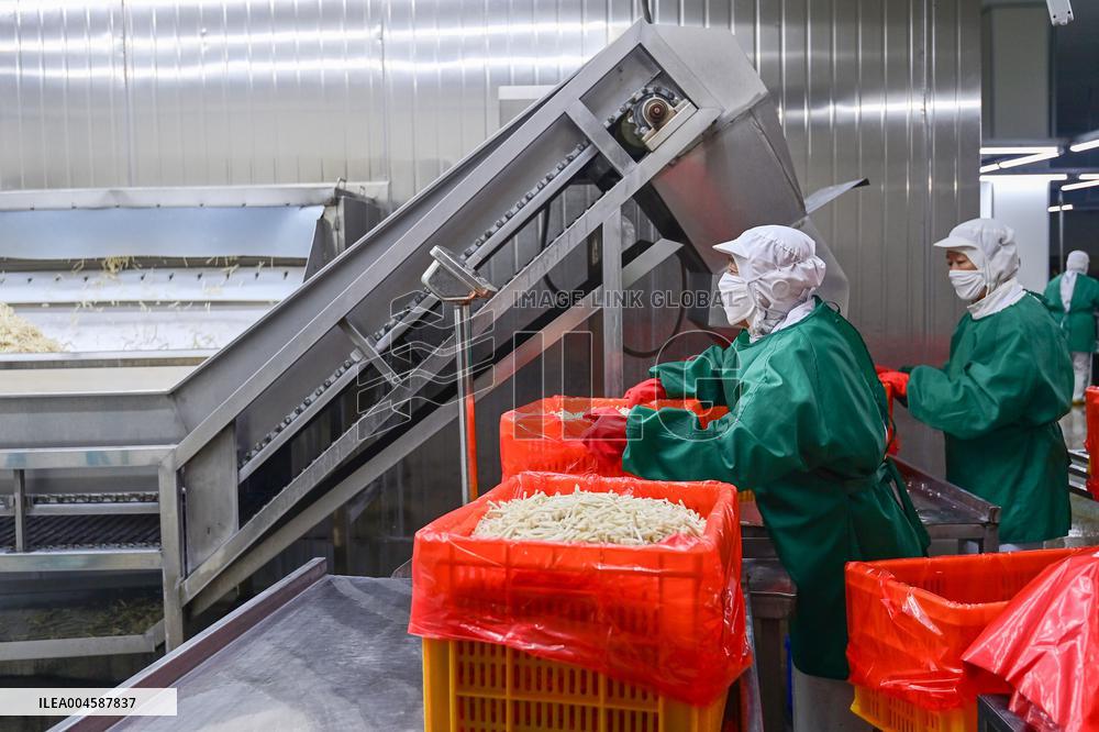 China Import And Export of Goods Trade Growth in H1 2025