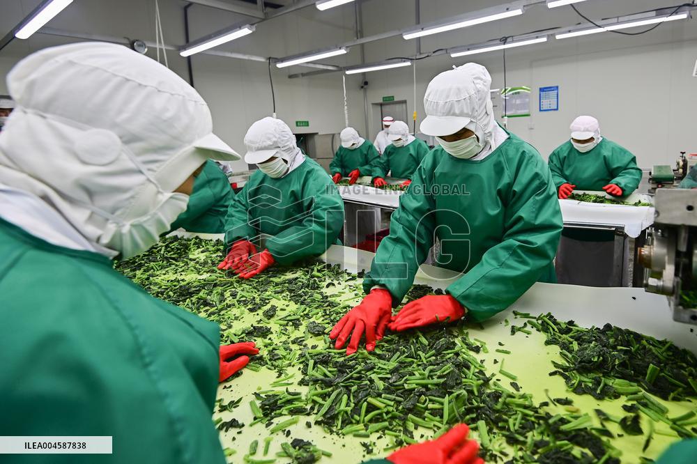 China Import And Export of Goods Trade Growth in H1 2025