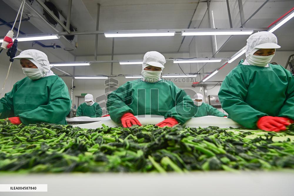 China Import And Export of Goods Trade Growth in H1 2025