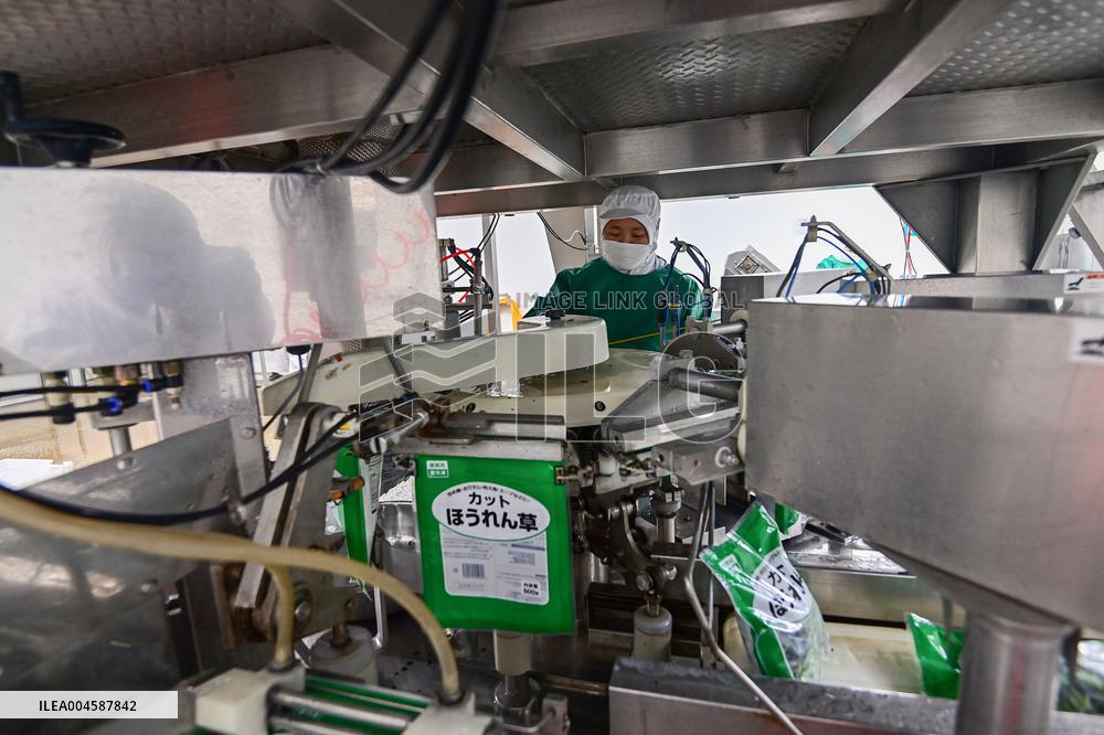 China Import And Export of Goods Trade Growth in H1 2025