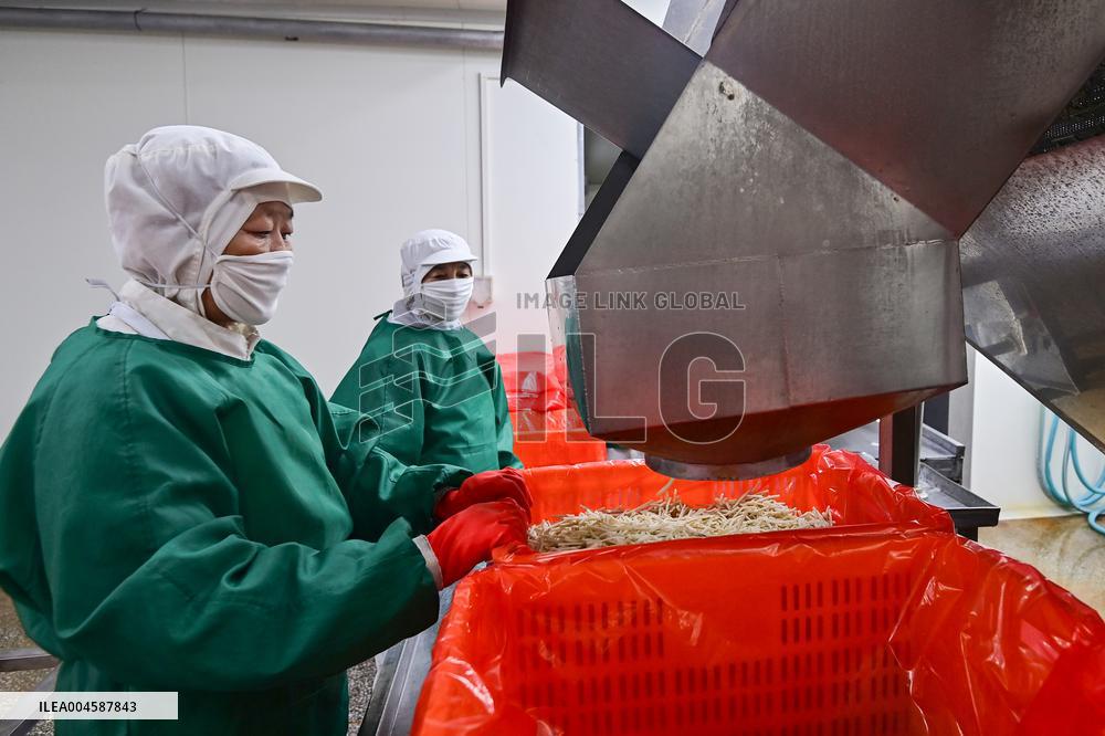 China Import And Export of Goods Trade Growth in H1 2025