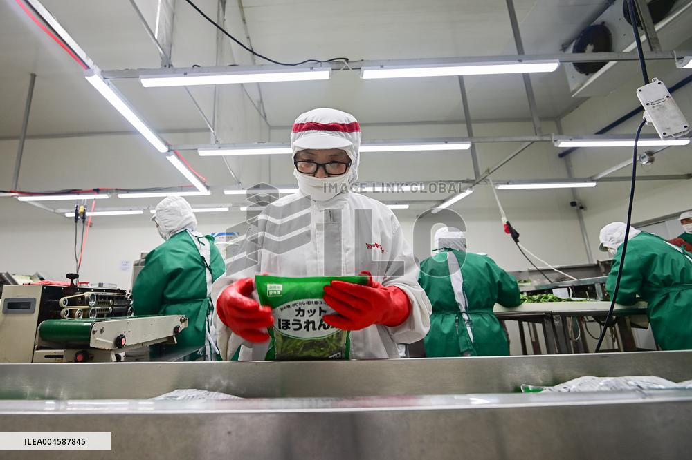 China Import And Export of Goods Trade Growth in H1 2025