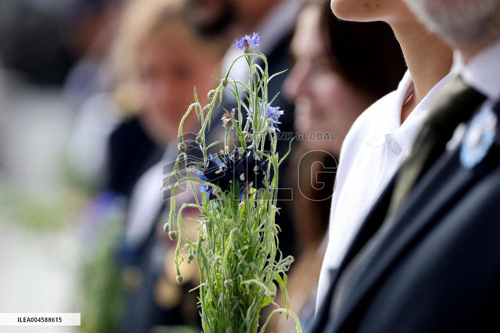 Bastille Day Parade - Paris