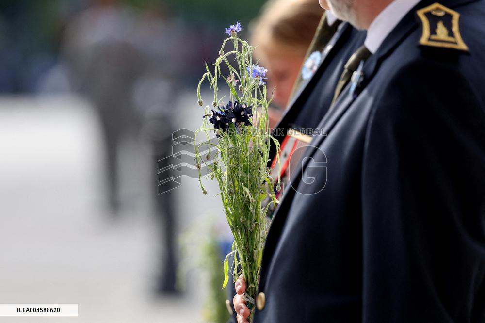 Bastille Day Parade - Paris