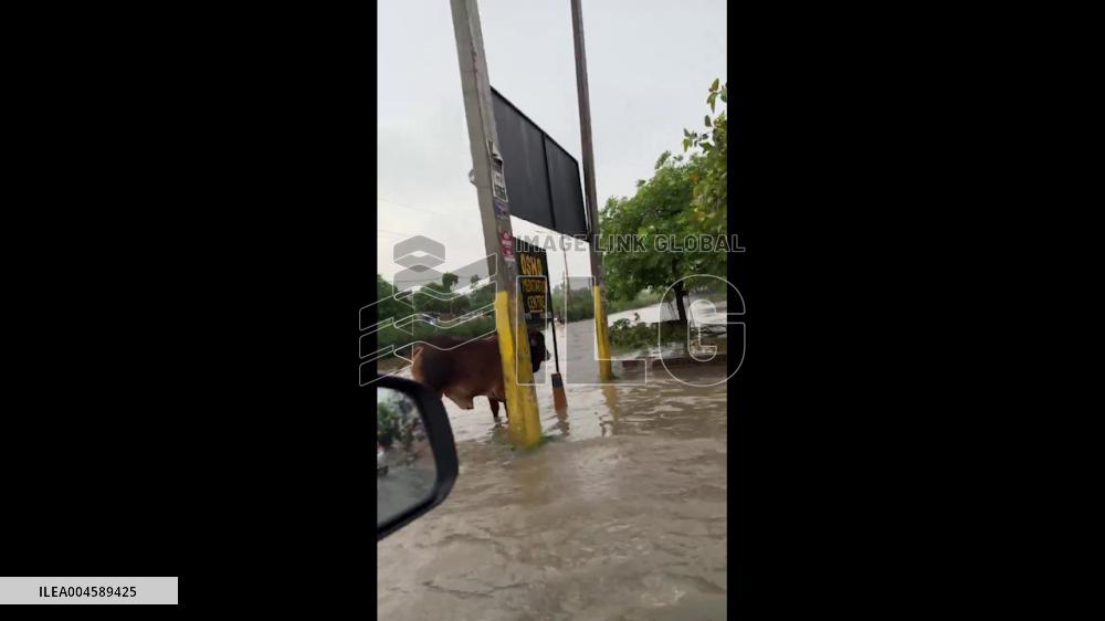 India: Heavy Rain Triggers Flooding in Bathinda, Punjab