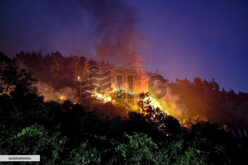 Latakia Wildfire - Syria