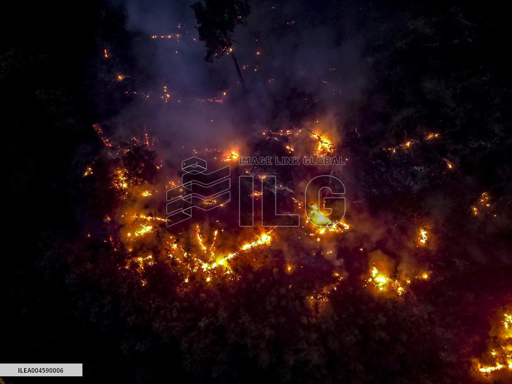 Latakia Wildfire - Syria