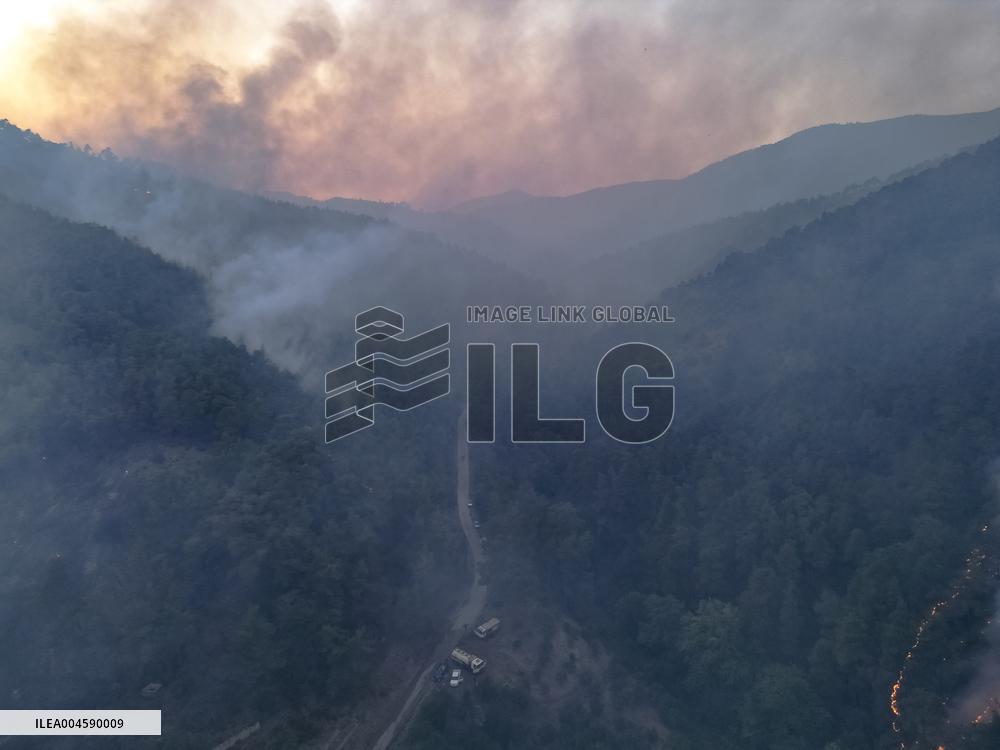 Latakia Wildfire - Syria