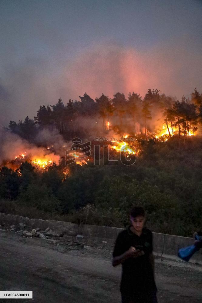 Latakia Wildfire - Syria