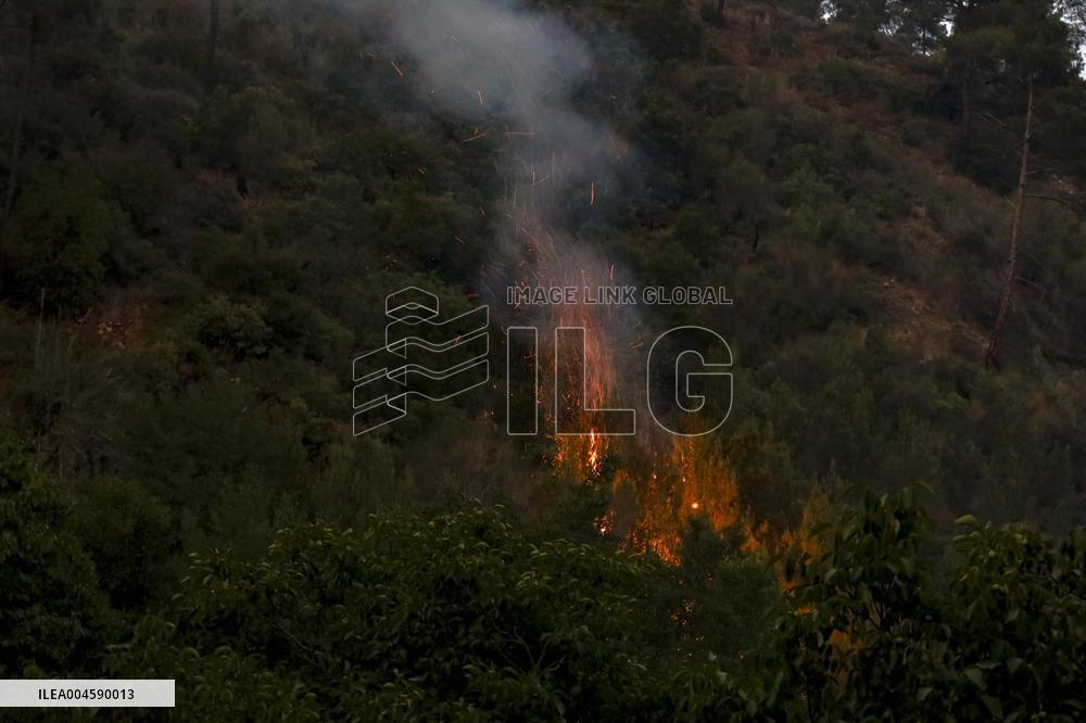 Latakia Wildfire - Syria