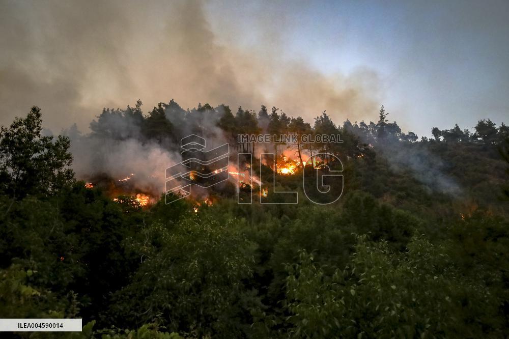 Latakia Wildfire - Syria