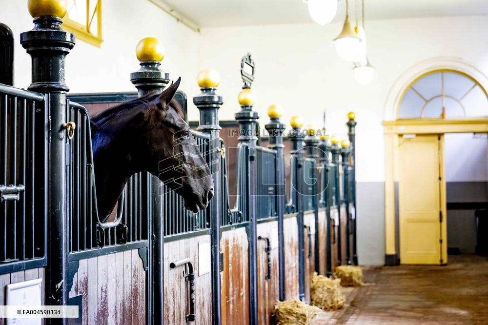 Opening of Noordeinde Palace and Royal Stables