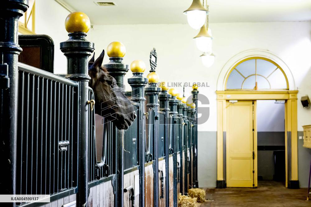 Opening of Noordeinde Palace and Royal Stables