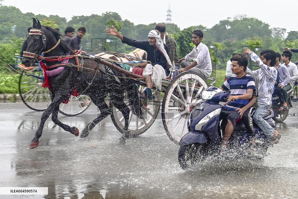 Ekka Race During The Shravana - India