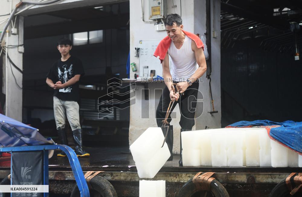 Ice-making Factory in Hangzhou