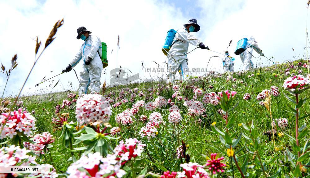 Integrated Protection And Restoration Project of Forest And Grassland Wetland