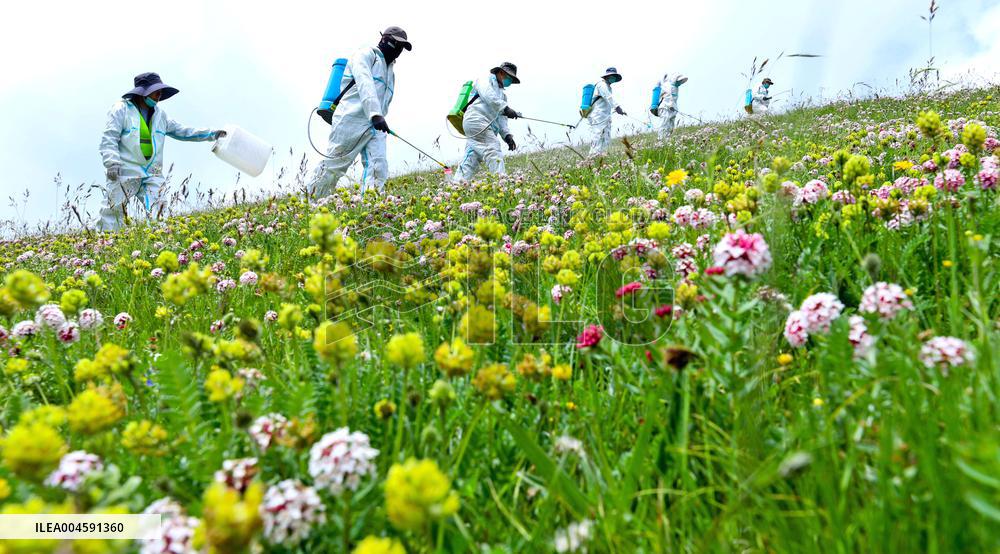 Integrated Protection And Restoration Project of Forest And Grassland Wetland