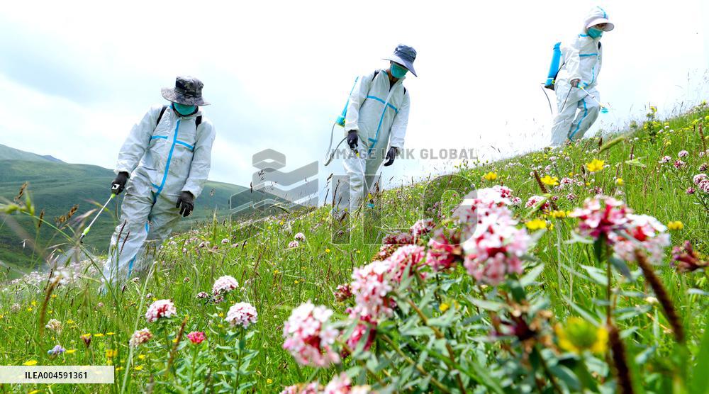 Integrated Protection And Restoration Project of Forest And Grassland Wetland