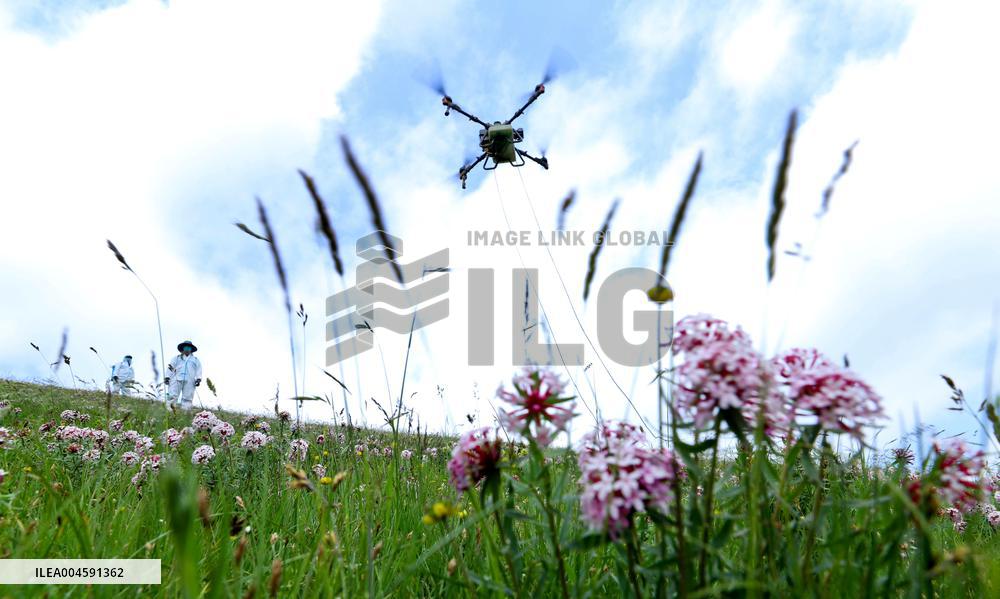 Integrated Protection And Restoration Project of Forest And Grassland Wetland