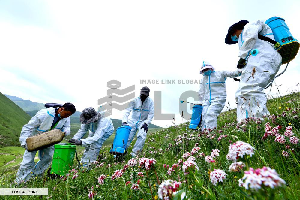 Integrated Protection And Restoration Project of Forest And Grassland Wetland