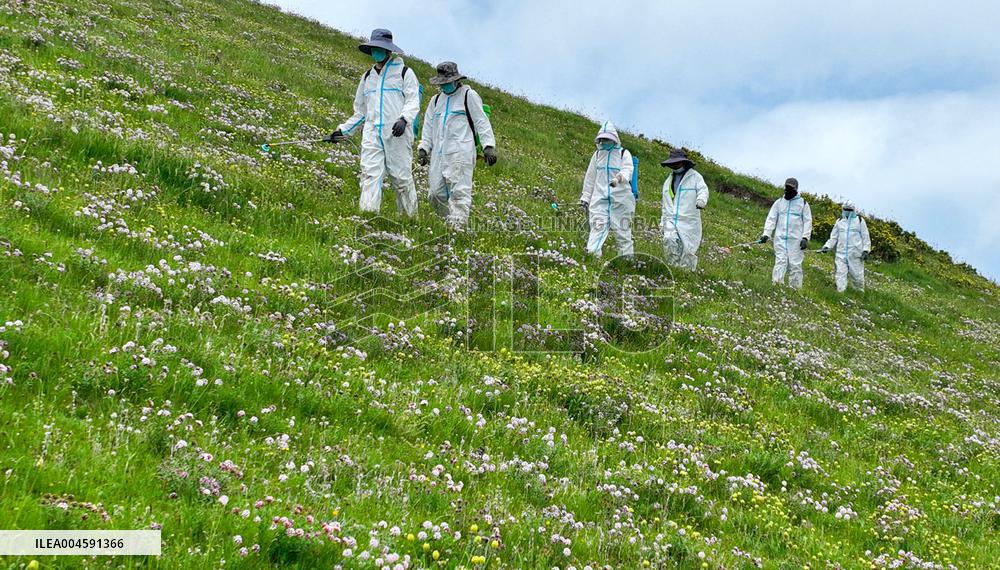 Integrated Protection And Restoration Project of Forest And Grassland Wetland