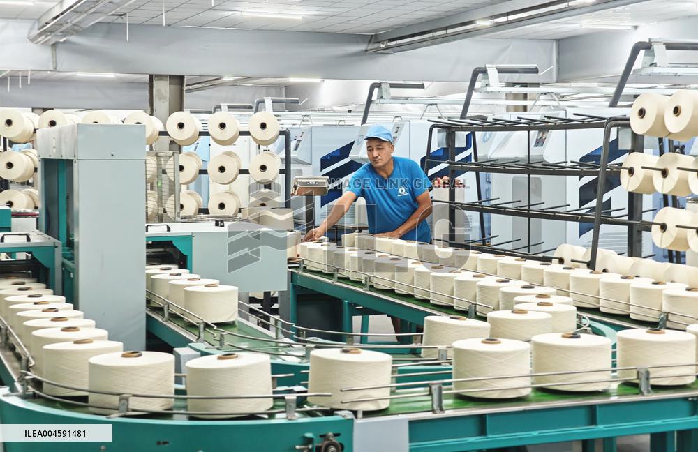 China Xinjiang Textile Industry