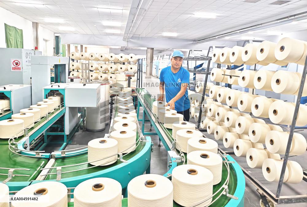 China Xinjiang Textile Industry