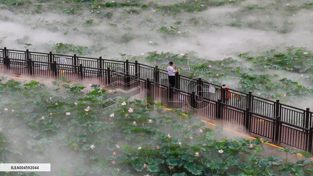 Lotus Pond Cooling System in Suzhou